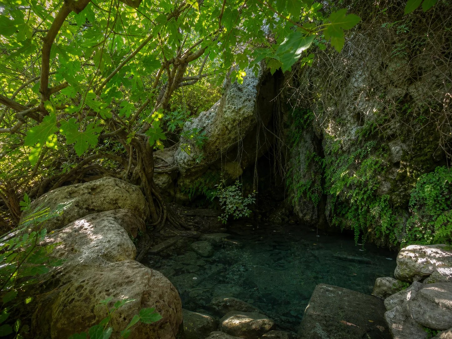 Shaded spring grotto at the Baths of Aphrodite